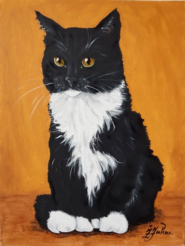 Quadro gatto bianco nero - gatto, e