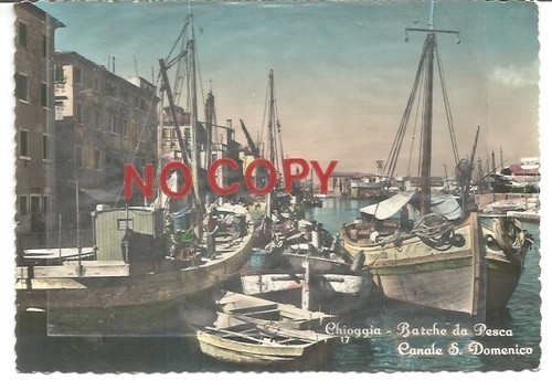 Chioggia 1954 barche da - chioggia,