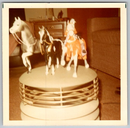 Vtg color snapshot - vtg, horses