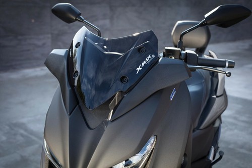 Cupolino fume schermo sport - fume,