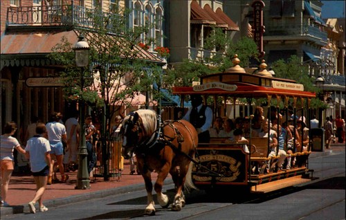 Walt disney world trolley ride - walt,