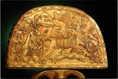 Cartolina continentale museo - cartolina,