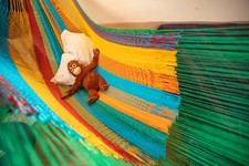 Mexi 3 Rainbow - Amaca a rete