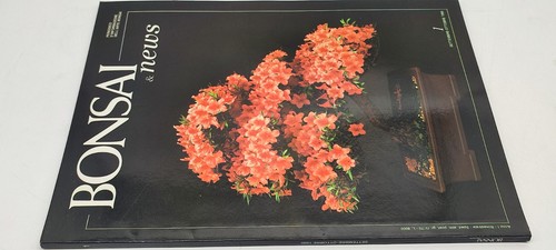 Rivista bonsai news anno - &,