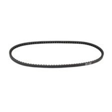 Cinghia dinamo 10 x 800 per