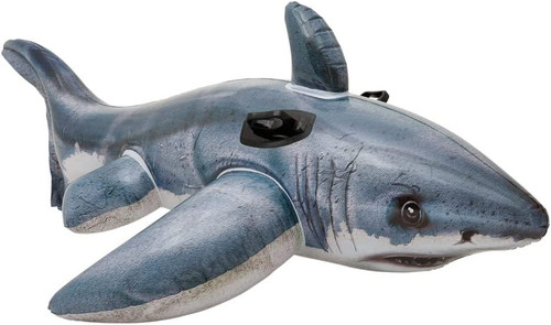 Great white shark - shark, aufsitzen