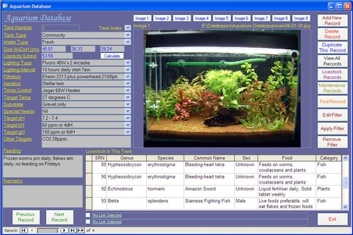 Software manutenzione - software,