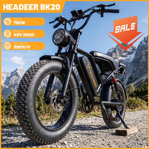 Bicicletta elettrica fat - bicicletta,