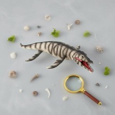 Modello dinosauro - modello, di