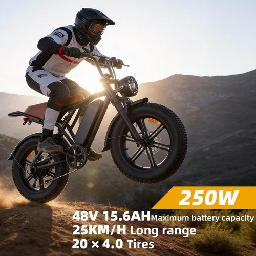 Bicicletta elettrica 48v15 6ah - bicicletta, 48v15.6ah