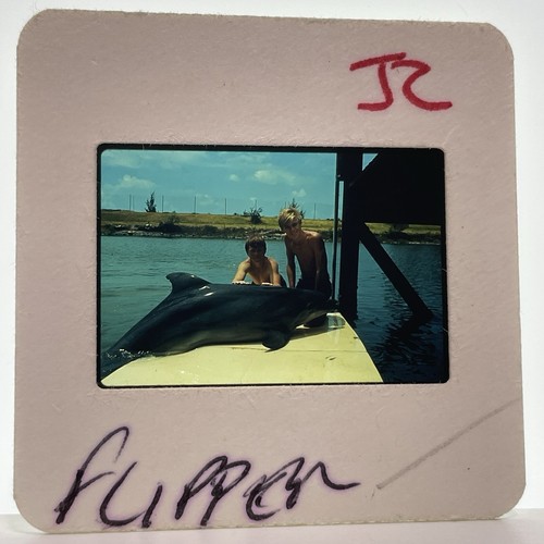 Flipper diapositiva 35mm anni