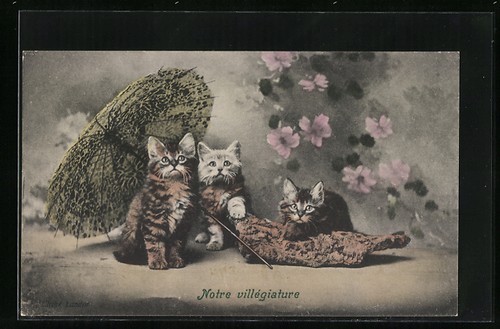 Cartolina tre gatti - tre, con