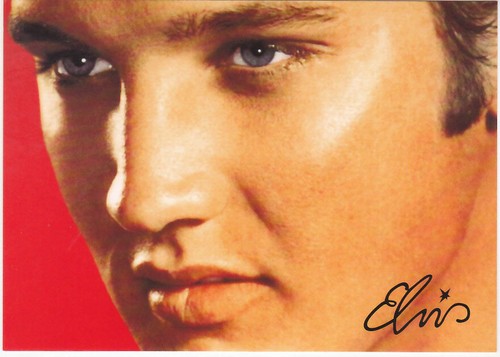 Elvis presley cantante - elvis,
