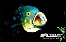 G 1039 C&C 3129 SCHEDA TELEFONICA USATA ANIMALI PER MODO DI DIRE IL PESCE
