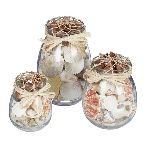 Conchiglie deco barattoli - conchiglie,