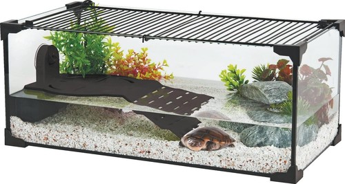 Tartarughiera acqua acquario - tartarughiera,
