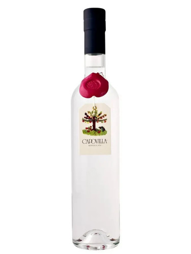 Grappa traminer di - grappa,