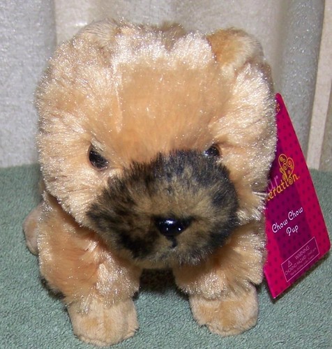 Cucciolo chow our - chow,