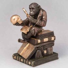 Figurina Veronese Darwin