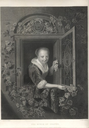 Grappolo uva di metsu - d'uva,
