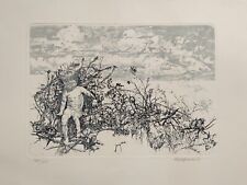 Incisione Litografia Acquaforte   Firmata Vespignani XIII/XX 70x50  vintage Q173