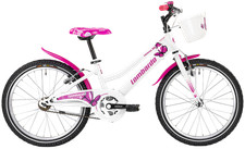 Bici bicicletta mountabike - bici,