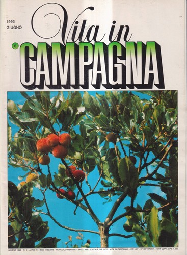 Vita campagna giugno - campagna,