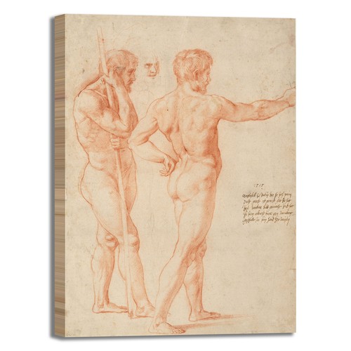 Raffaello studi nudo design - studi,