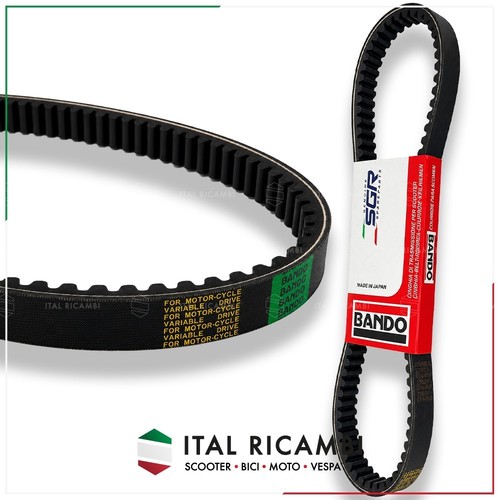 Cinghia trasmissione bando - trasmissione,