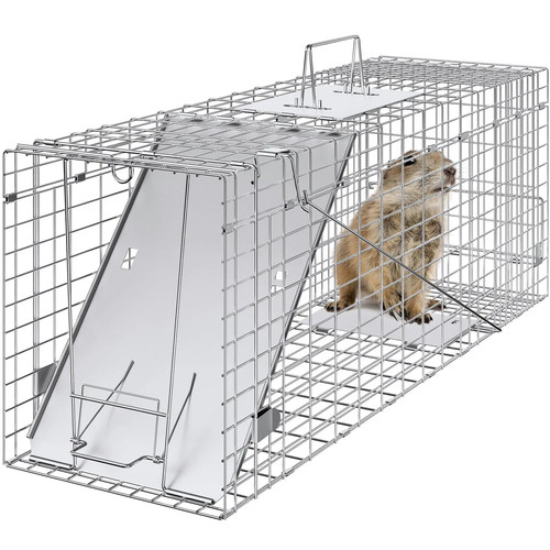 Trappola cattura gabbia - trappola,