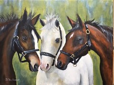 Arte cavallo originale firmata, dipinto ad olio, equino,equitazione,arte,animale 40x30Cm