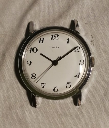 Timex orologio polso - timex,