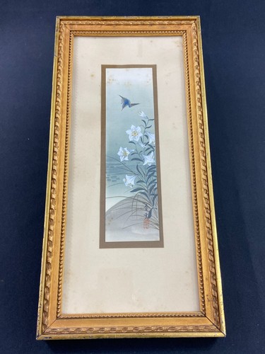 Gouache aquarellata - aquarellata, a