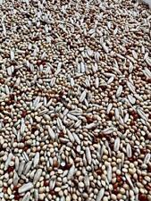 Cocorite e Pappagalli 0,5 - 2,5 kg Mangime SFUSO Mix Semi Avena Scagliola Miglio