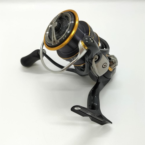 Mulinello spinning daiwa - spinning,