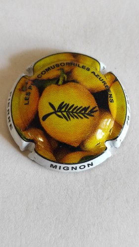 Capsule champagne pierre - capsule,