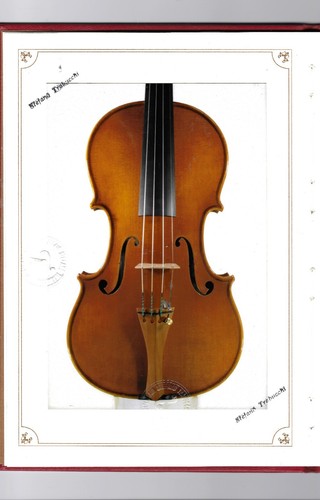 Great italian violin - a, lfrom