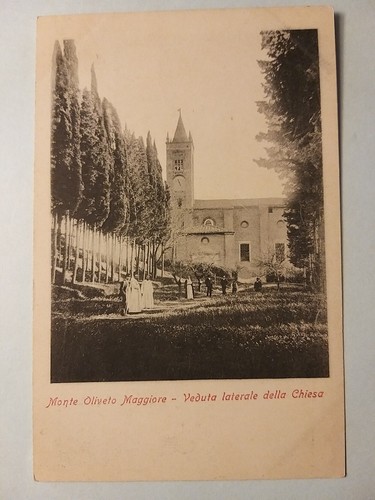 Monte oliveto maggiore - oliveto,