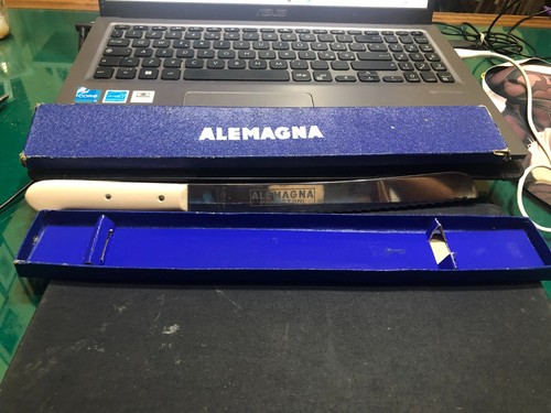Gadget panettoni alemagna - panettoni,