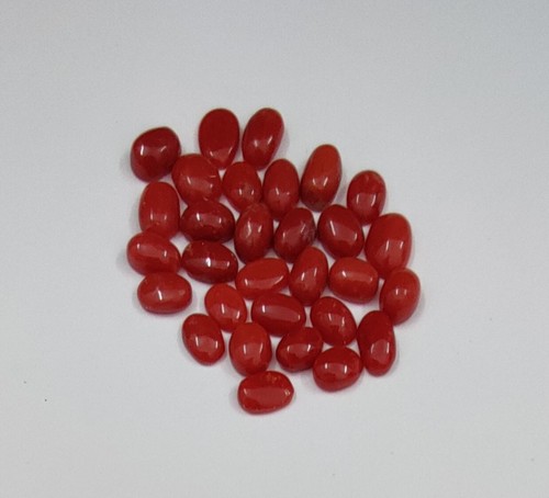 Autentico corallo rosso