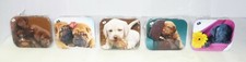 PUZZLE CUCCIOLOSI - CANI -