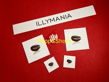 ILLY Illy Caffè 6 Magneti