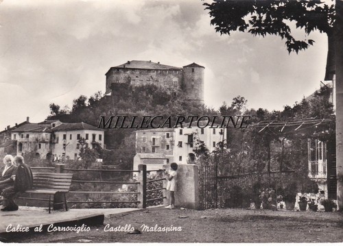 Calice cornoviglio - calice,