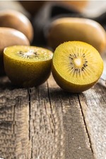 Pianta vera di Kiwi Giallo