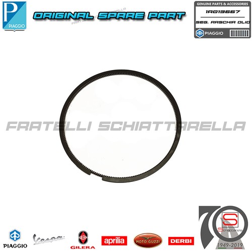 Fascia segmento raschiaolio - fascia,