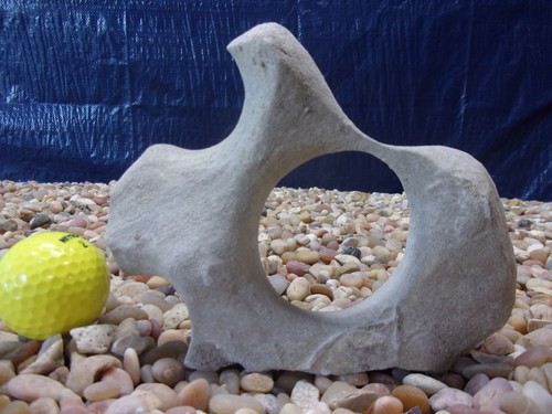 Texas holey rock - 02#,