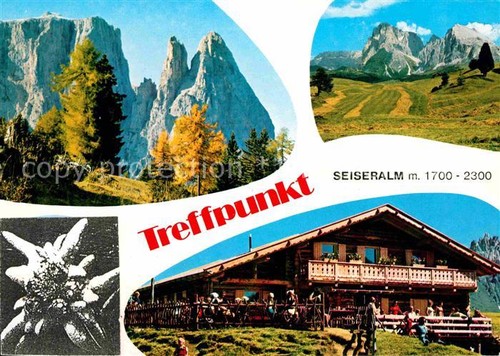 Alpe siusi dolomiti - di,