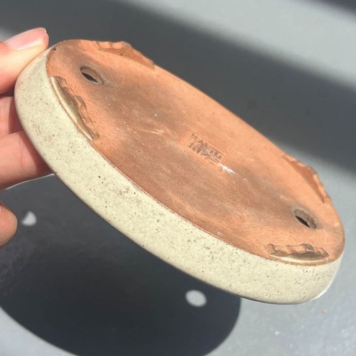 Vaso per bonsai - , giapponese