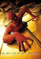 Poster Spiderman / 70x50cm /