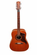 Chitarra Acustica Vintage EKO